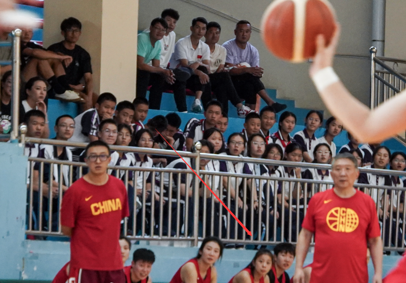 orm, dingy orm, dingy