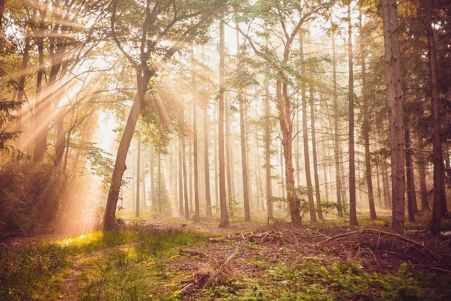 IP开发计 IP开发计